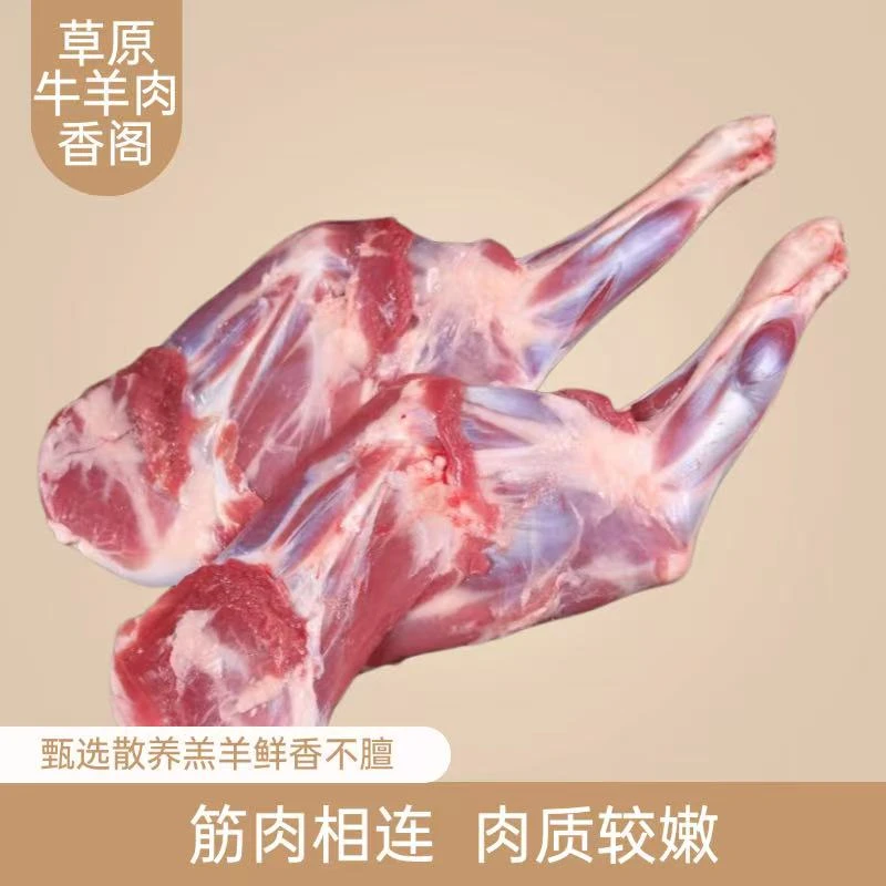 【羊前腿】内蒙新鲜原切小羔羊羊腿滋补红烧清炖鲜肉烧烤肉必备排酸