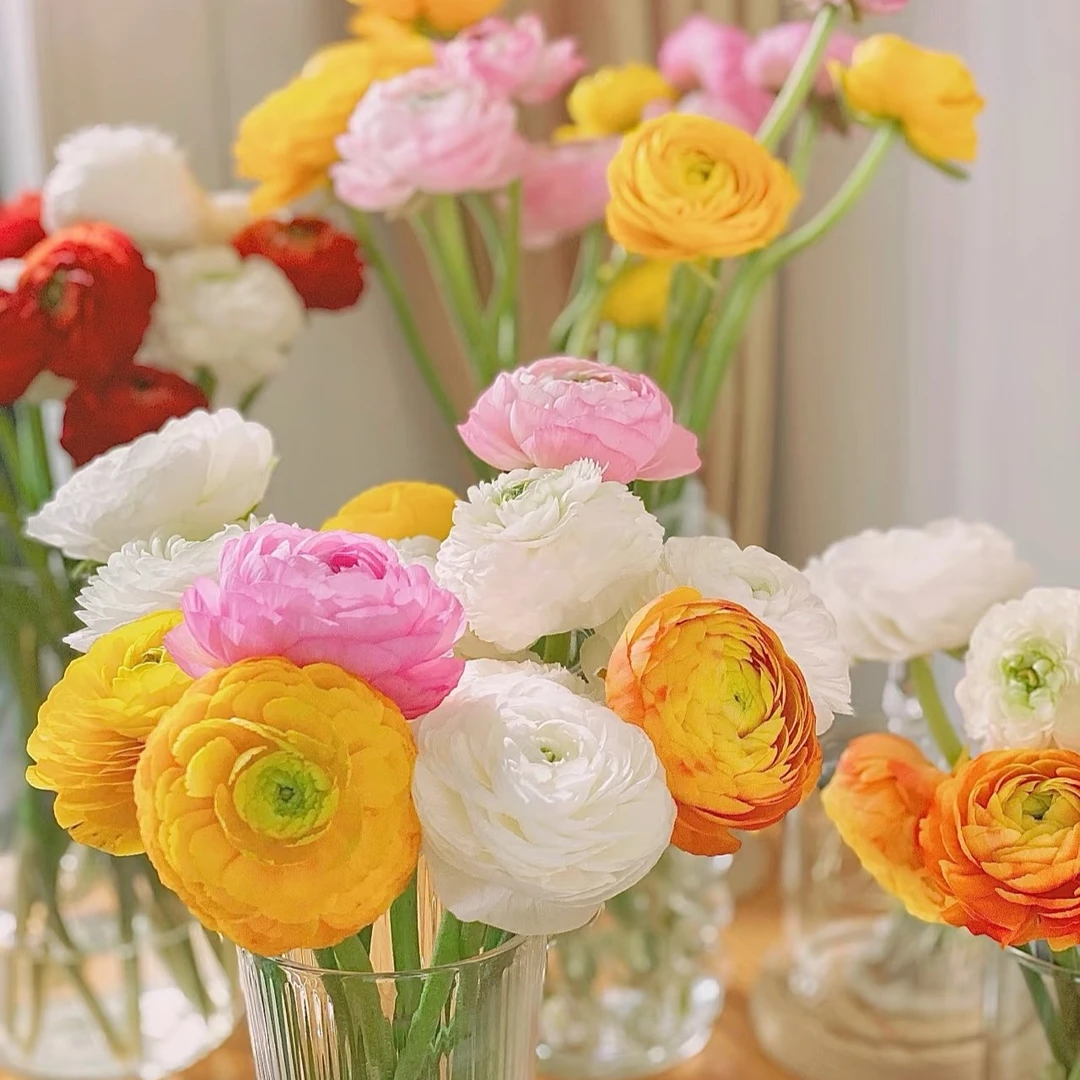 【最美应季花材洋牡丹】3把3色【0度以下请拍保温棉】