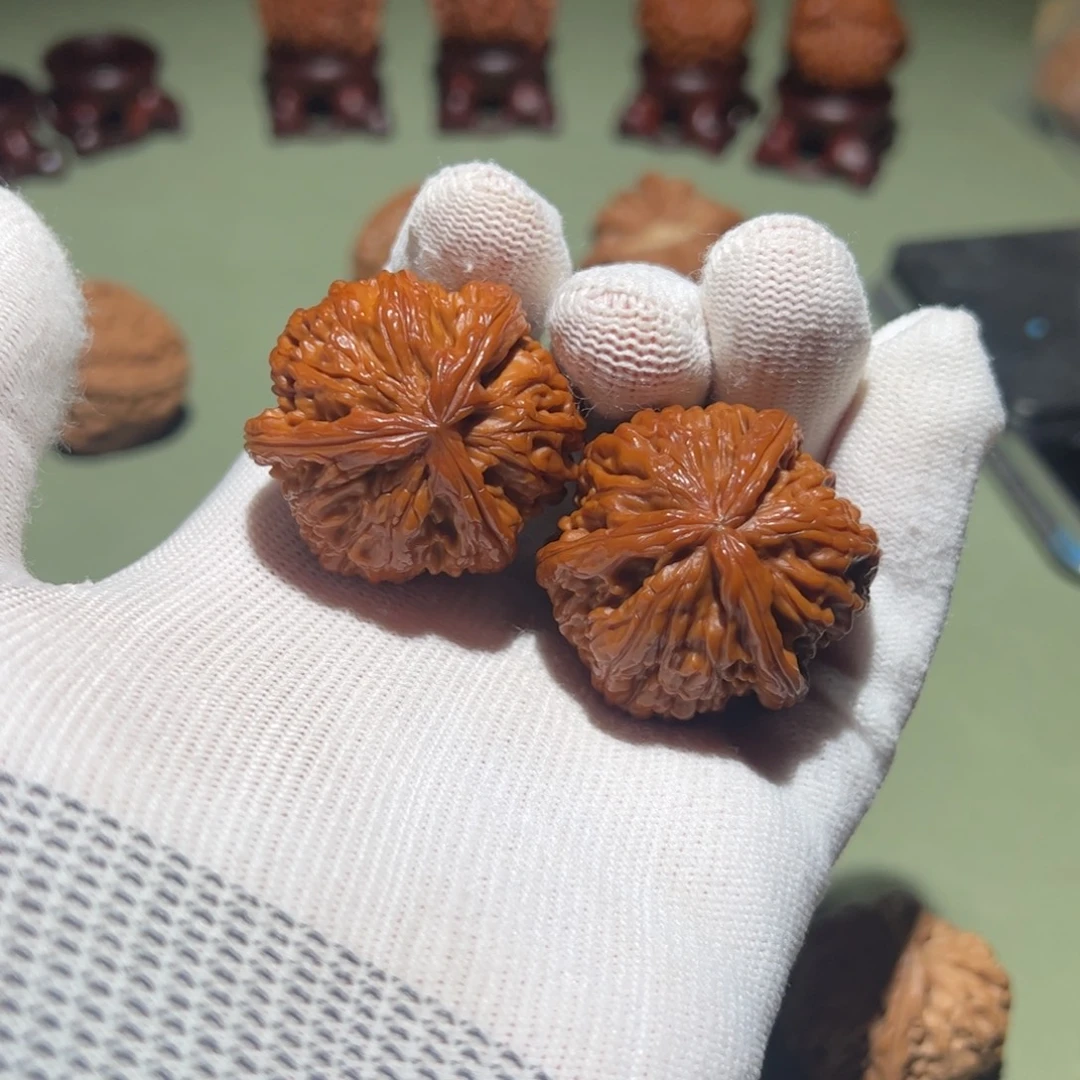 文玩核桃把件37白狮子奔