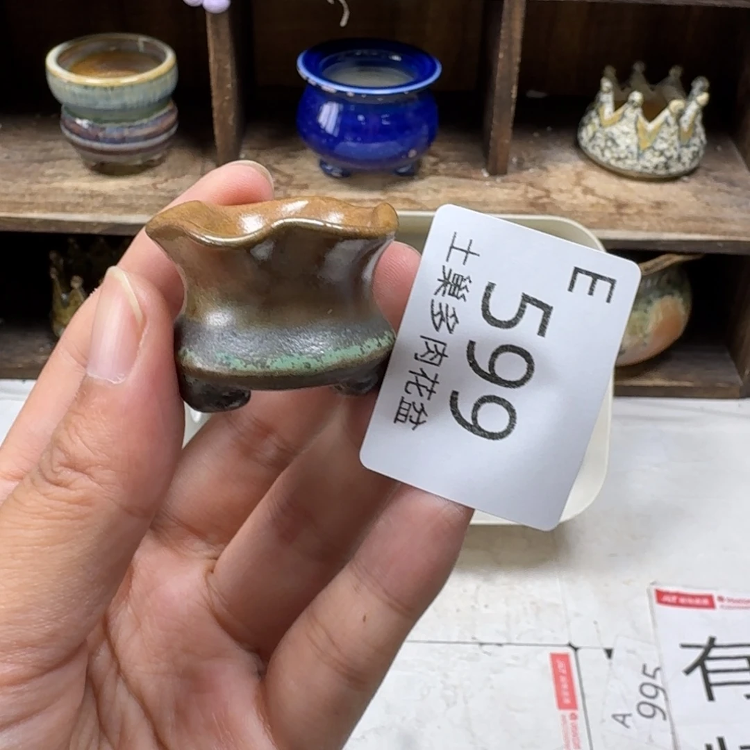 鱼***官陶瓷艺术设计学与制作
