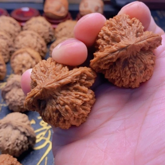 天**私文玩满天星狮子头45尺寸全品