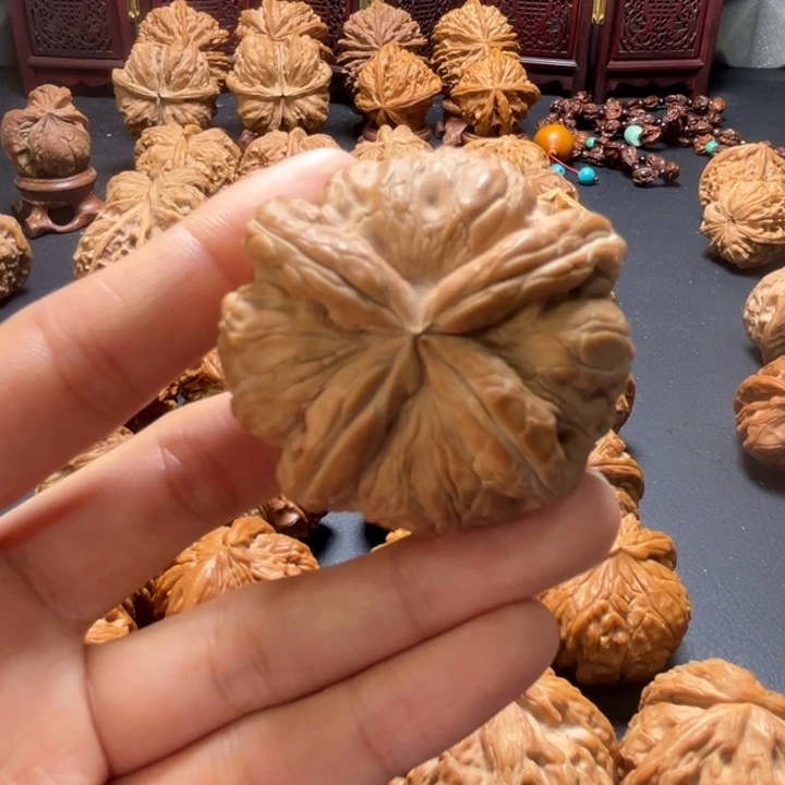 元宝蝴蝶结四棱45尺寸单只核桃