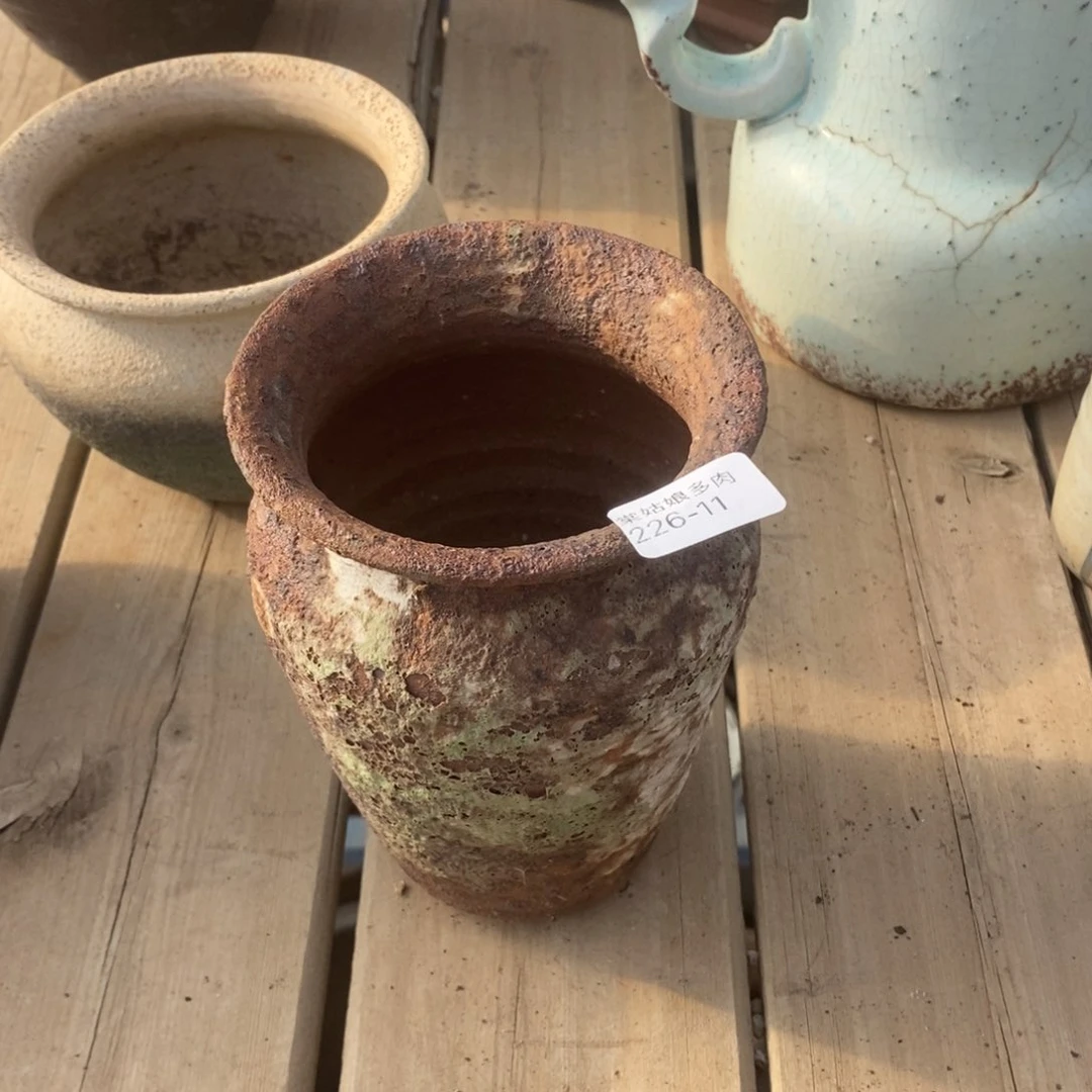 红陶恩*妈11号多肉盆一个呀