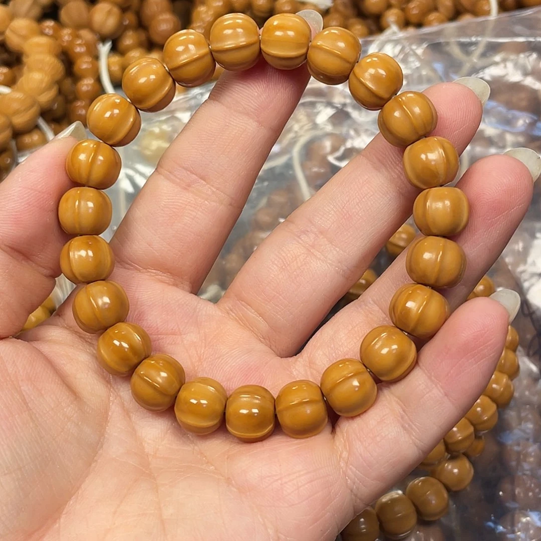 天****！全品小鲨鱼。