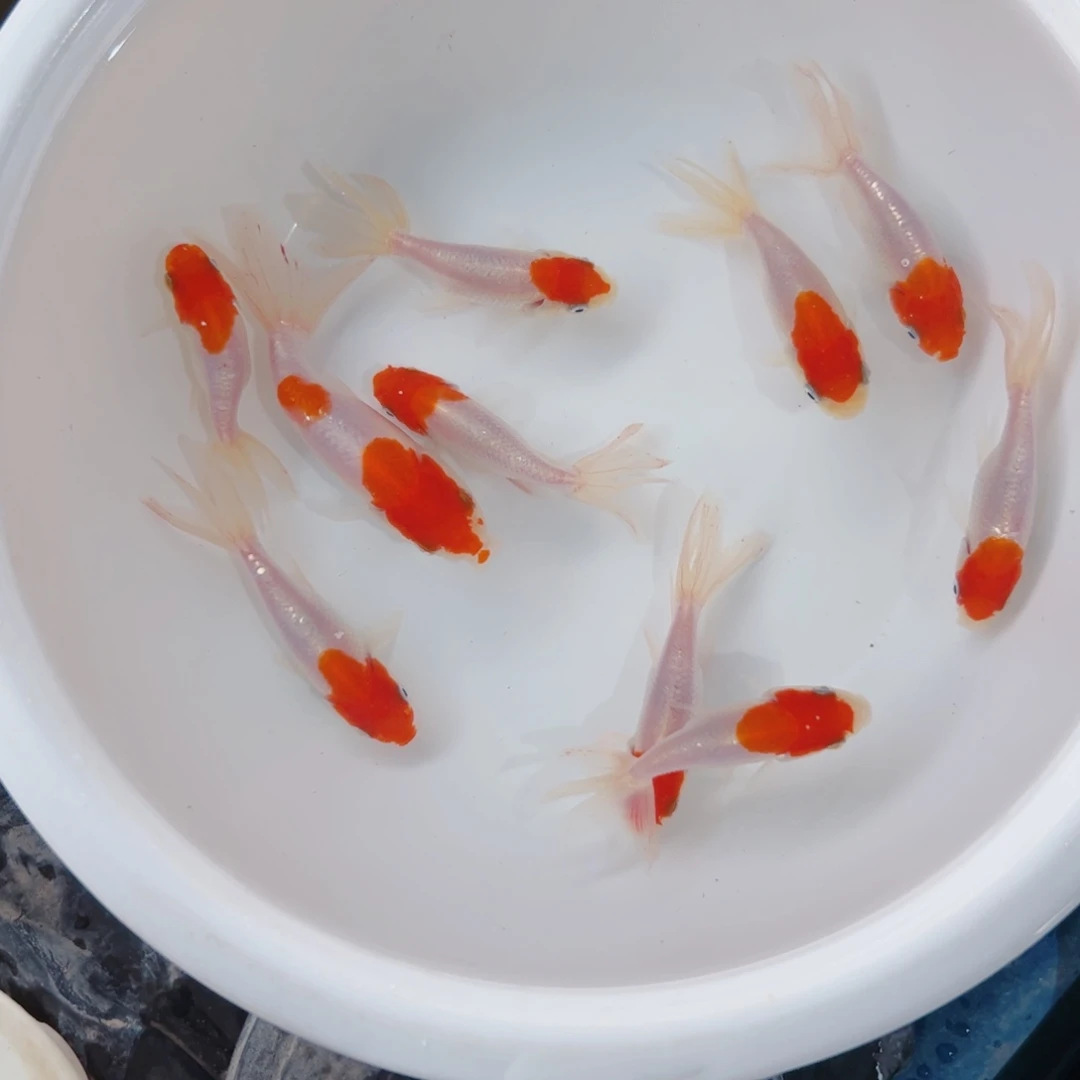 海水111111111111111