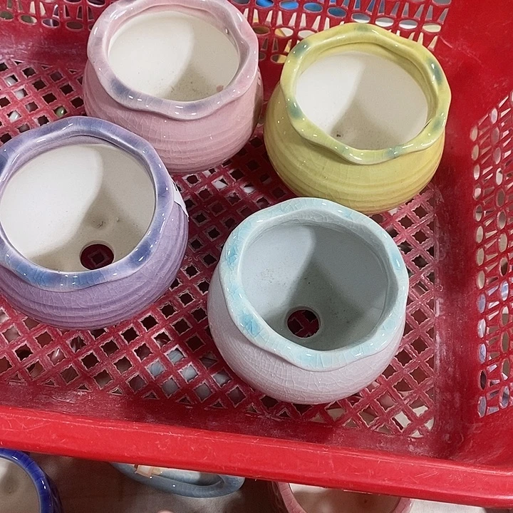花盆抢购清货马上开始