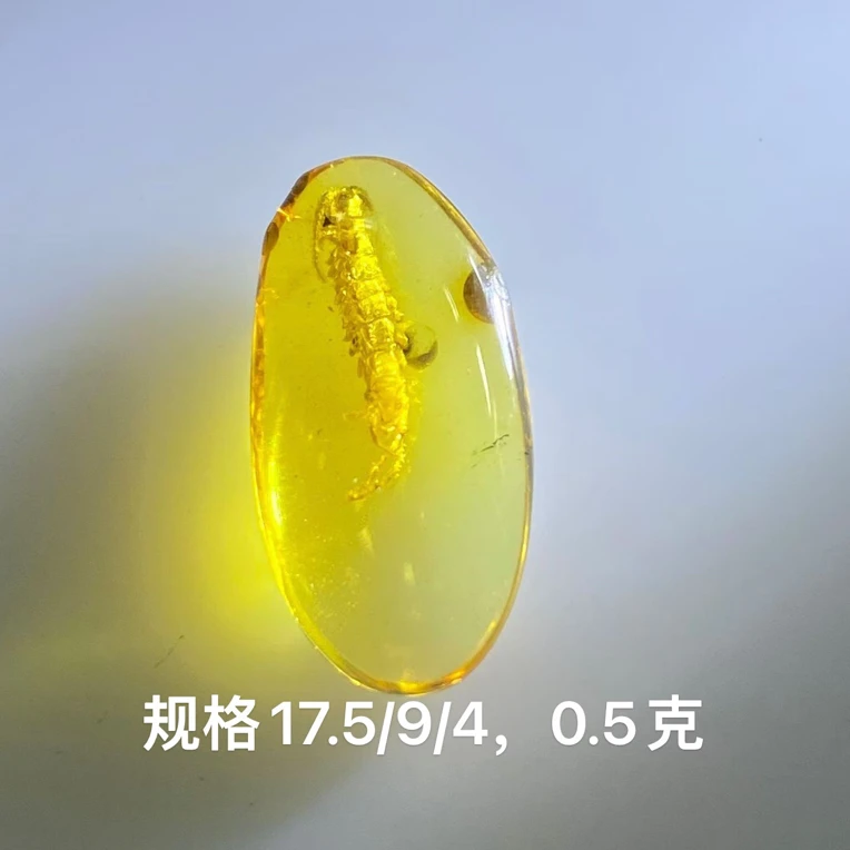天然缅甸琥珀～金色蜈蚣～钱串子，蜈蚣长10.3mm