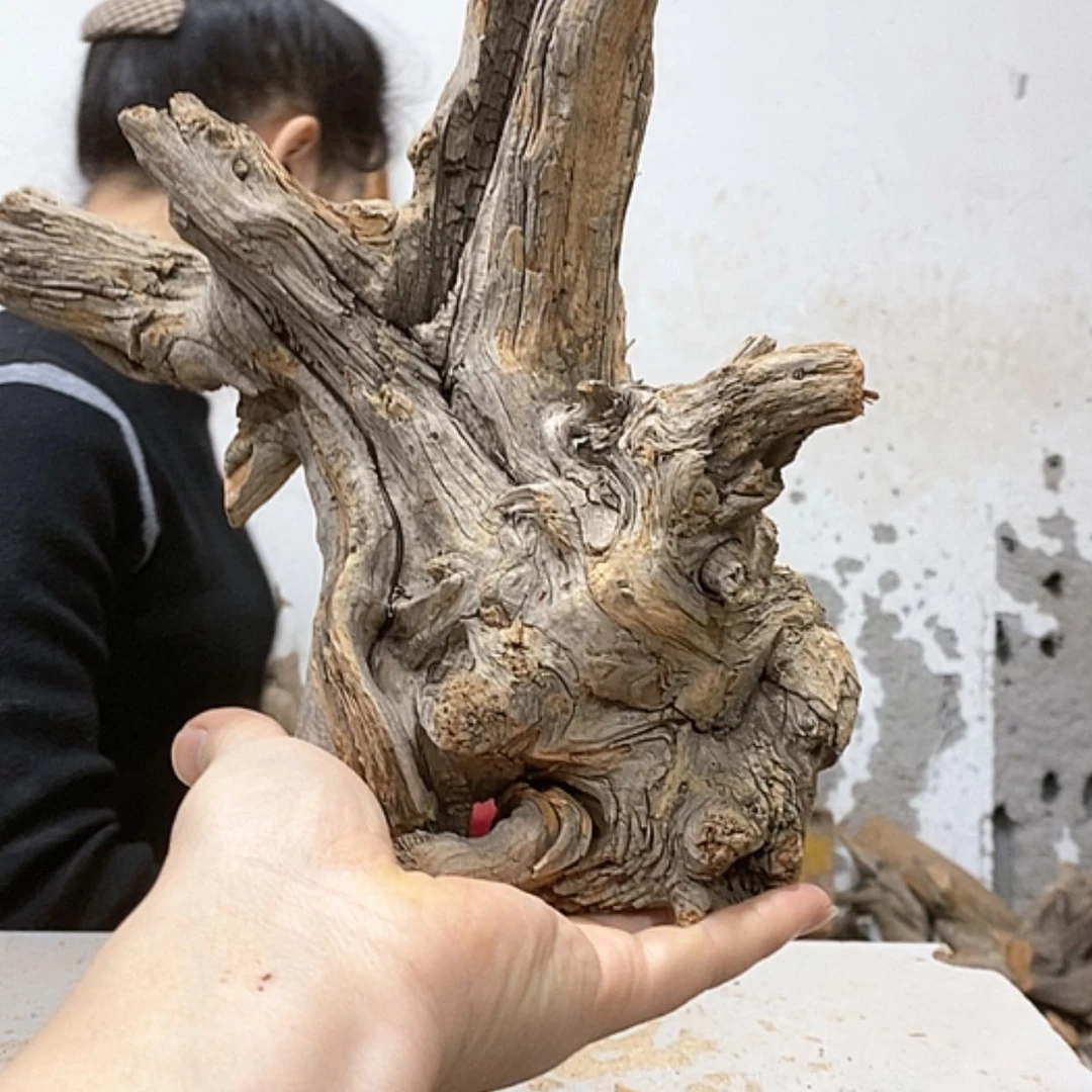 【闪购商品】柏木落**悔我们都是好孩子