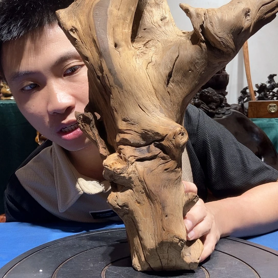 金丝楠旭*金丝南木