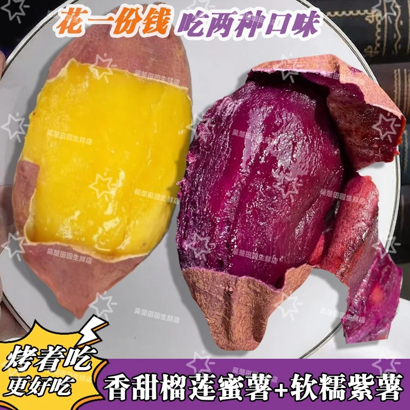 【紫薯+蜜薯】组合云南黑美人紫薯正宗榴莲蜜薯新鲜现挖烤红薯溏心