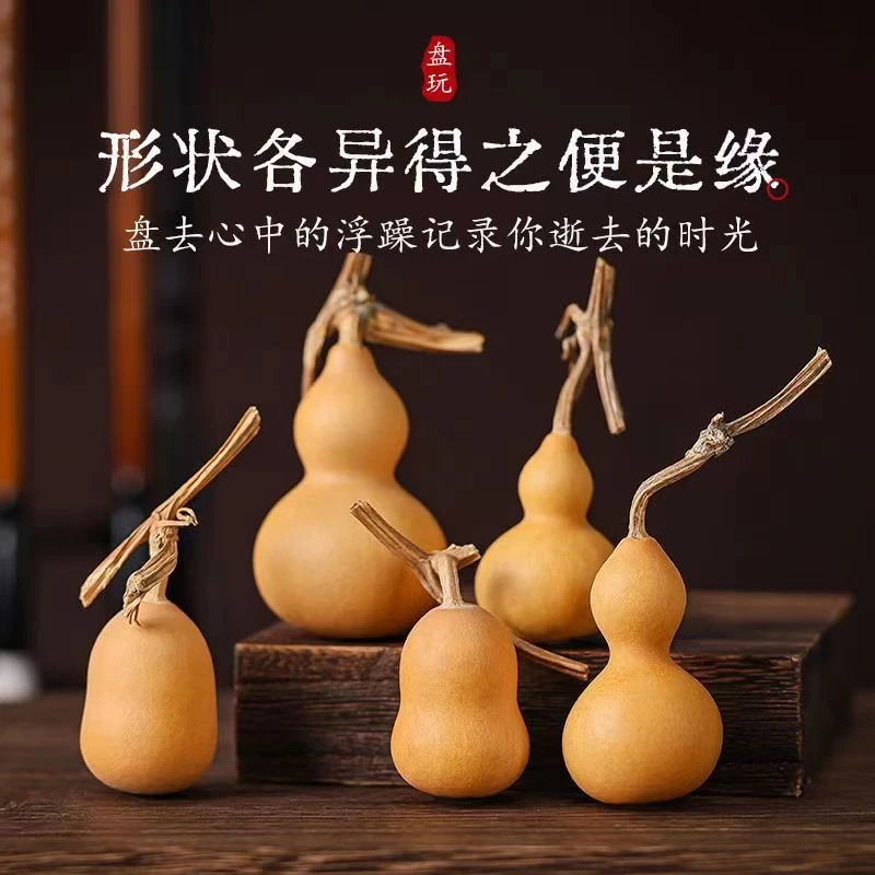 种植小葫芦文玩盘玩素葫芦(直播间选购专用链接)