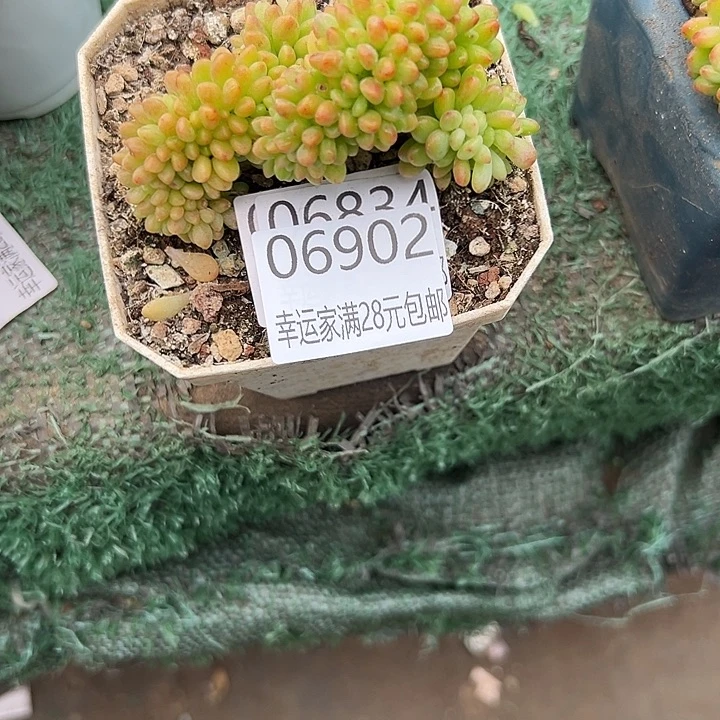 雅****幸运儿的一句话说得太