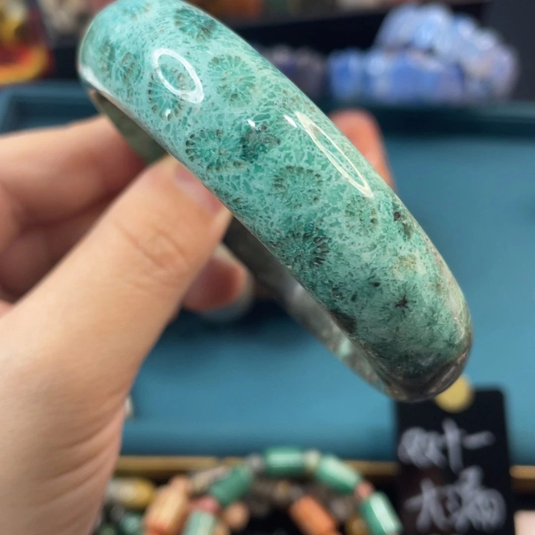 未镶嵌手镯硅化玉