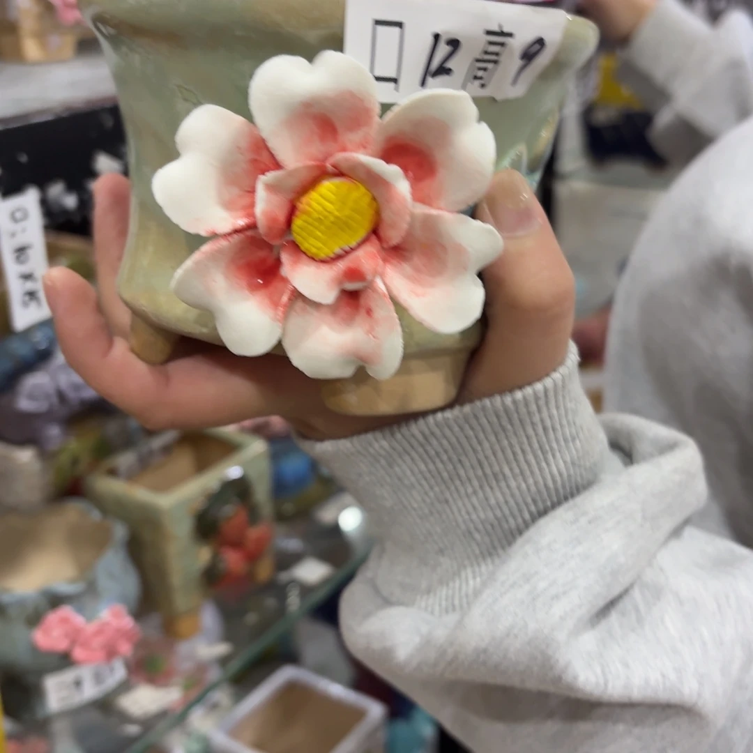 拍满20包邮飞，退款拉黑