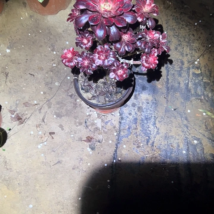 法师链接一物一拍7