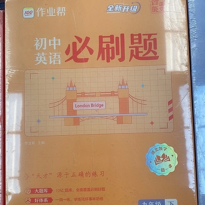 初中英语必刷题九年级下册