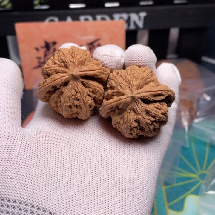 文玩核桃把件竹**风44+粗筋