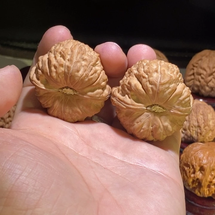 山***远文玩核桃把件42南瓜