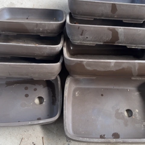 100-8。   微瑕。