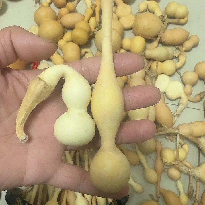 两把葫芦喜欢下单
