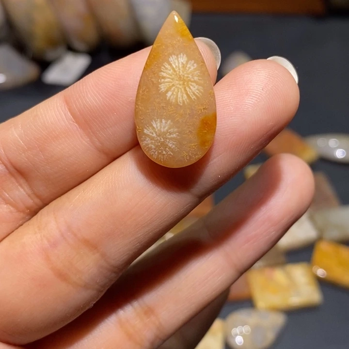 【闪购商品】未镶嵌珊瑚玉硅化玉
