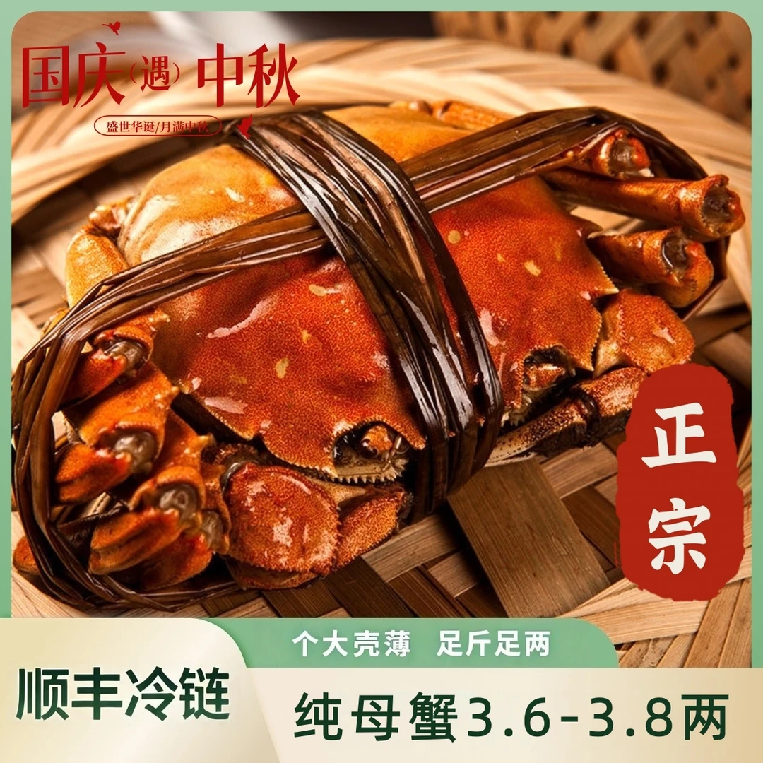 【活蟹】大闸蟹 纯母蟹3.6-3.8两10只装 顺丰冷链包邮