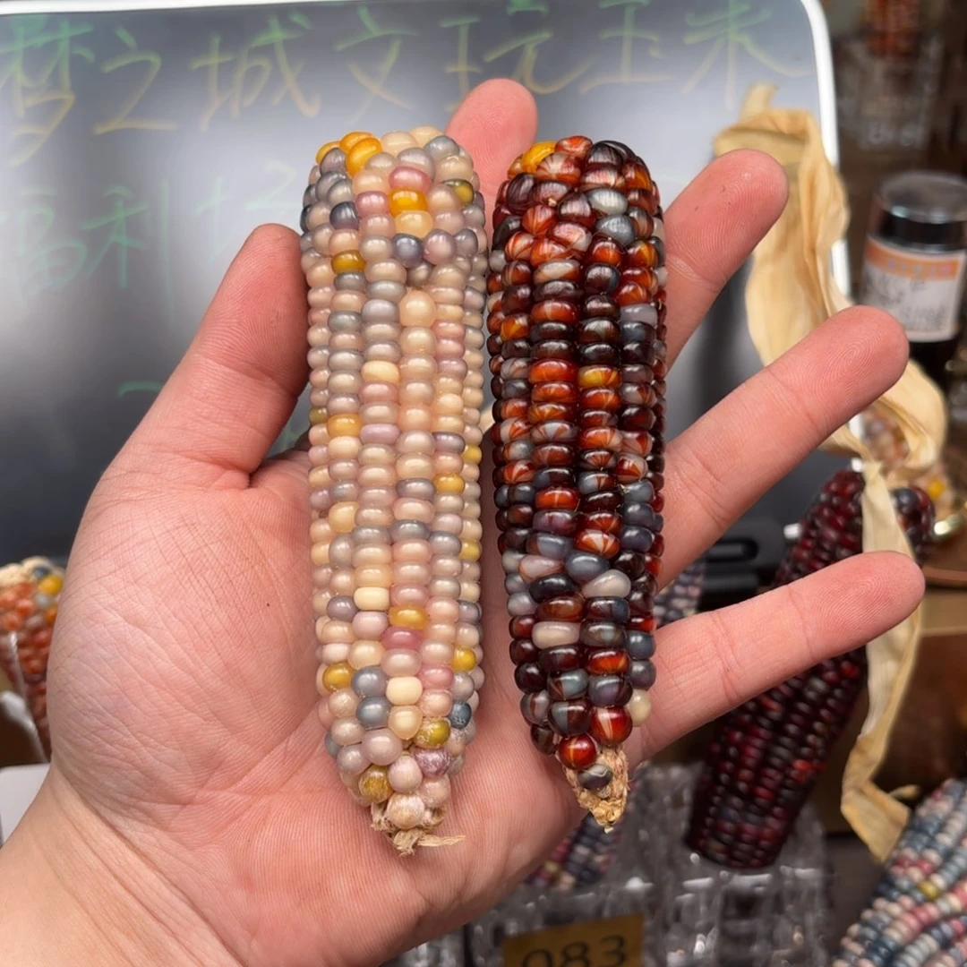 柏香籽/百香籽吊坠狗*