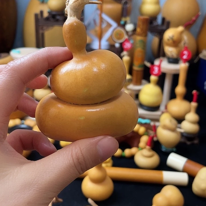 2****2葫芦岛市、哈佛医学院