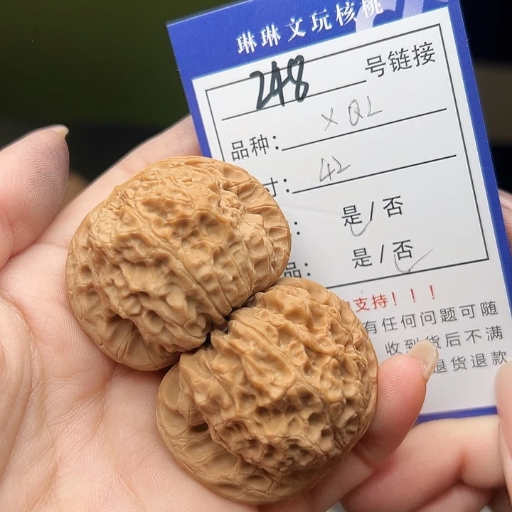 文玩核桃吊坠核桃树248