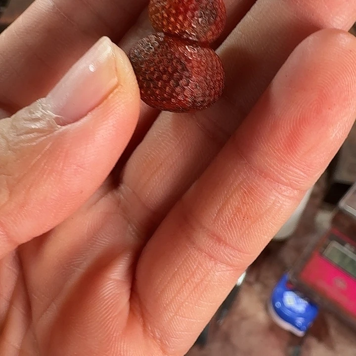 智***器檀香紫檀（小叶紫檀）
