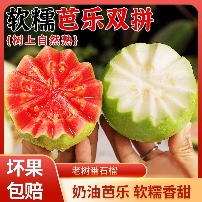 【全爸专属】广东胭脂红心芭乐白心番石榴软糯新鲜水果脆甜软糯两吃