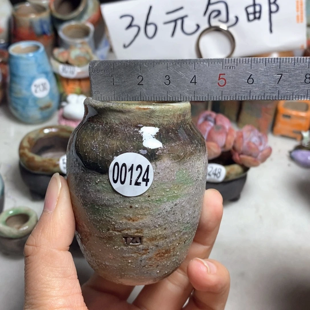 拍5送一个小礼物