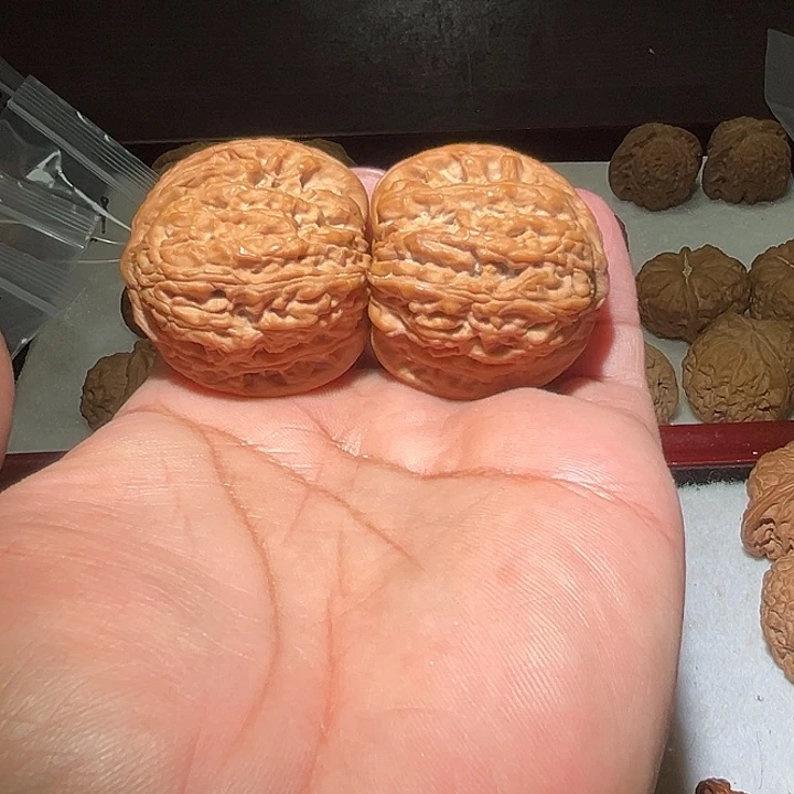 胖****木42绣球。