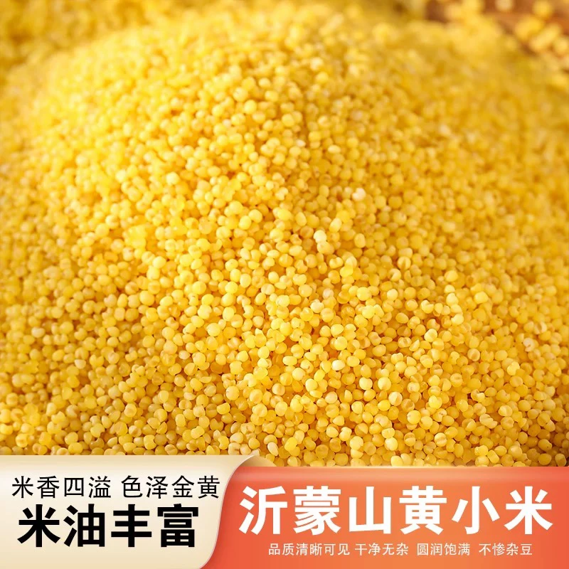 【2025春】沂蒙山地黄小米月子米 5斤桶装煮粥营养农家新米软糯一级