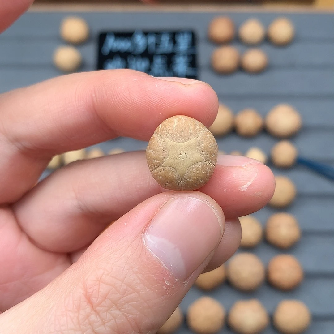 吊坠凤眼菩提15+五星，非质量问题开孔不退