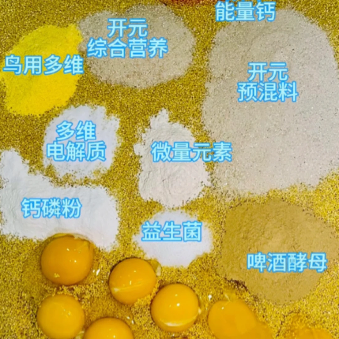 鹦鹉专用训练学吃蛋小米