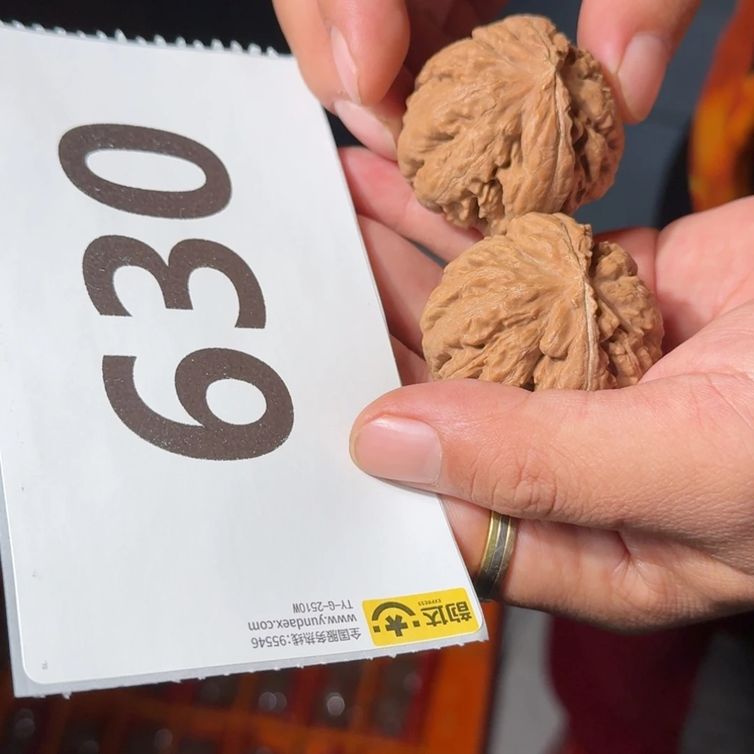 文玩核桃把件630号全品霸王龙41-43mm