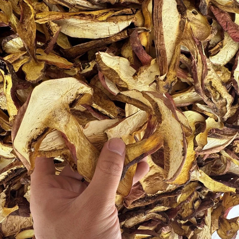 云南特产野生红葱牛肝菌见手青干货