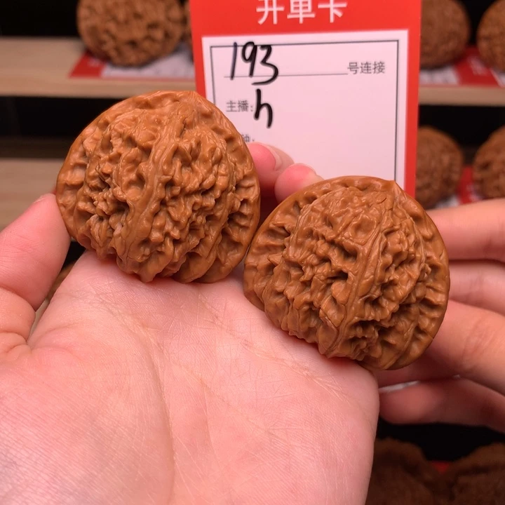 核桃41三角白193号