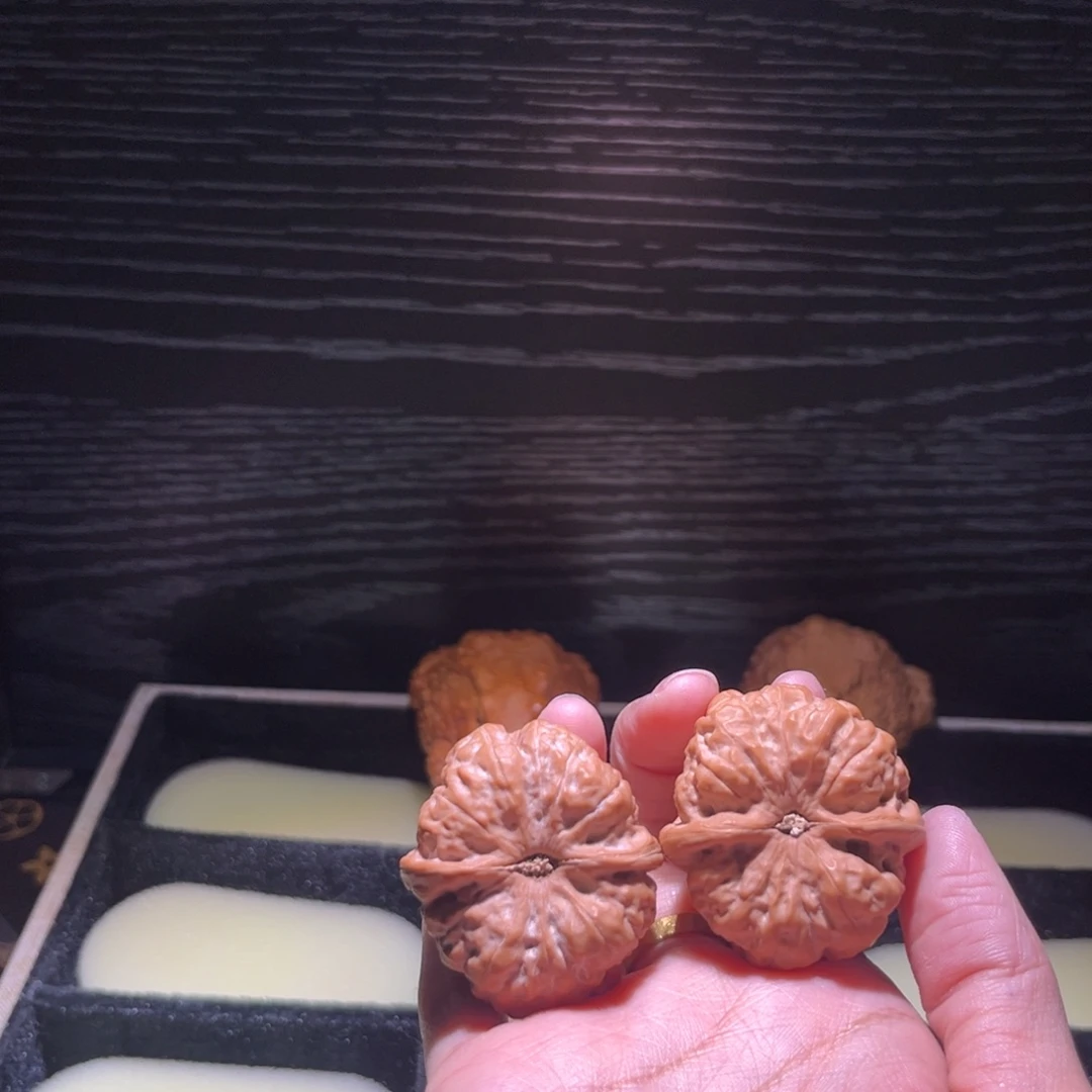 S***l大叶紫檀（黑酸枝木类）蛤蟆