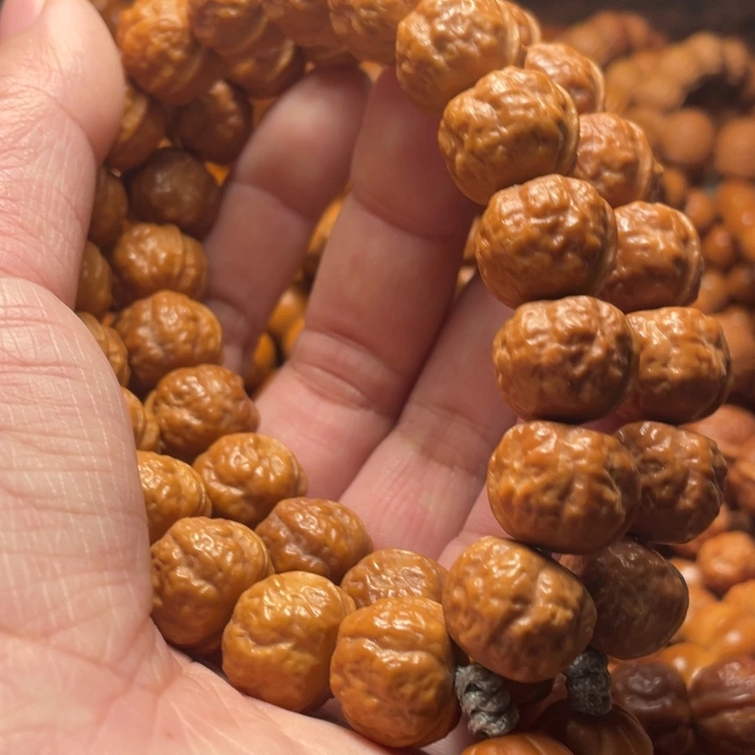 首***官崖柏猴头核桃树在哪里