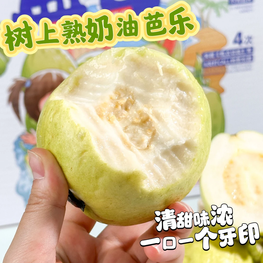树上熟奶油芭乐 软糯、清甜、风味酸 外皮可能微涩口 4.8斤 京东