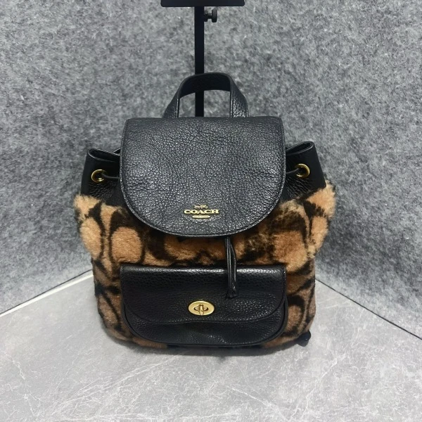 妃鱼/蔻驰/95新/包包/市场价15000/250121XZ0037