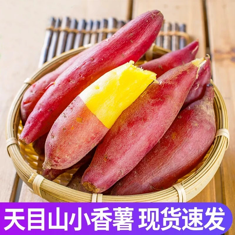 2025新鲜现挖天目山小香薯板栗红薯粉糯新鲜现挖地瓜农家农产品