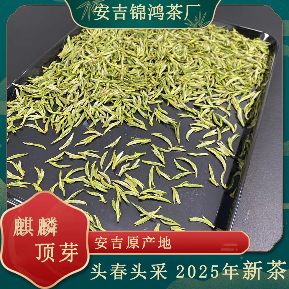 【麒麟顶芽】A18  2025新茶头春头采 安吉 高山头采白茶 茶礼