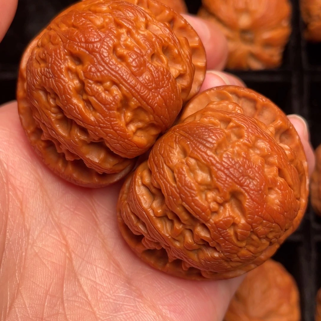 秦岭野生文玩核桃