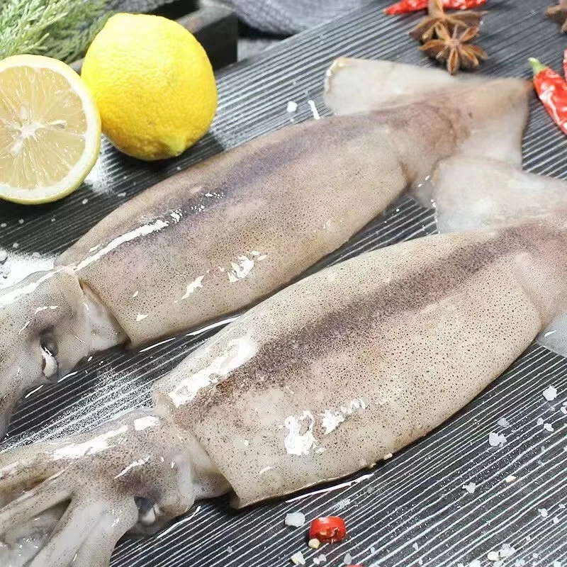 《东海优品》台州东海海捕新鲜飞机鱿鱼海鲜