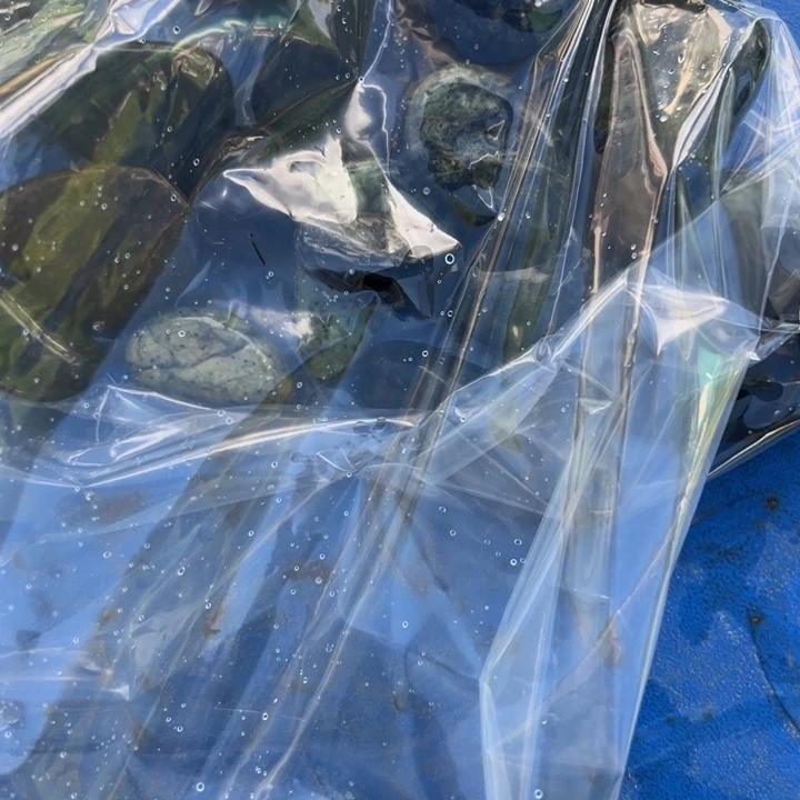 玄***刀长石玉未镶嵌藏玉药王石