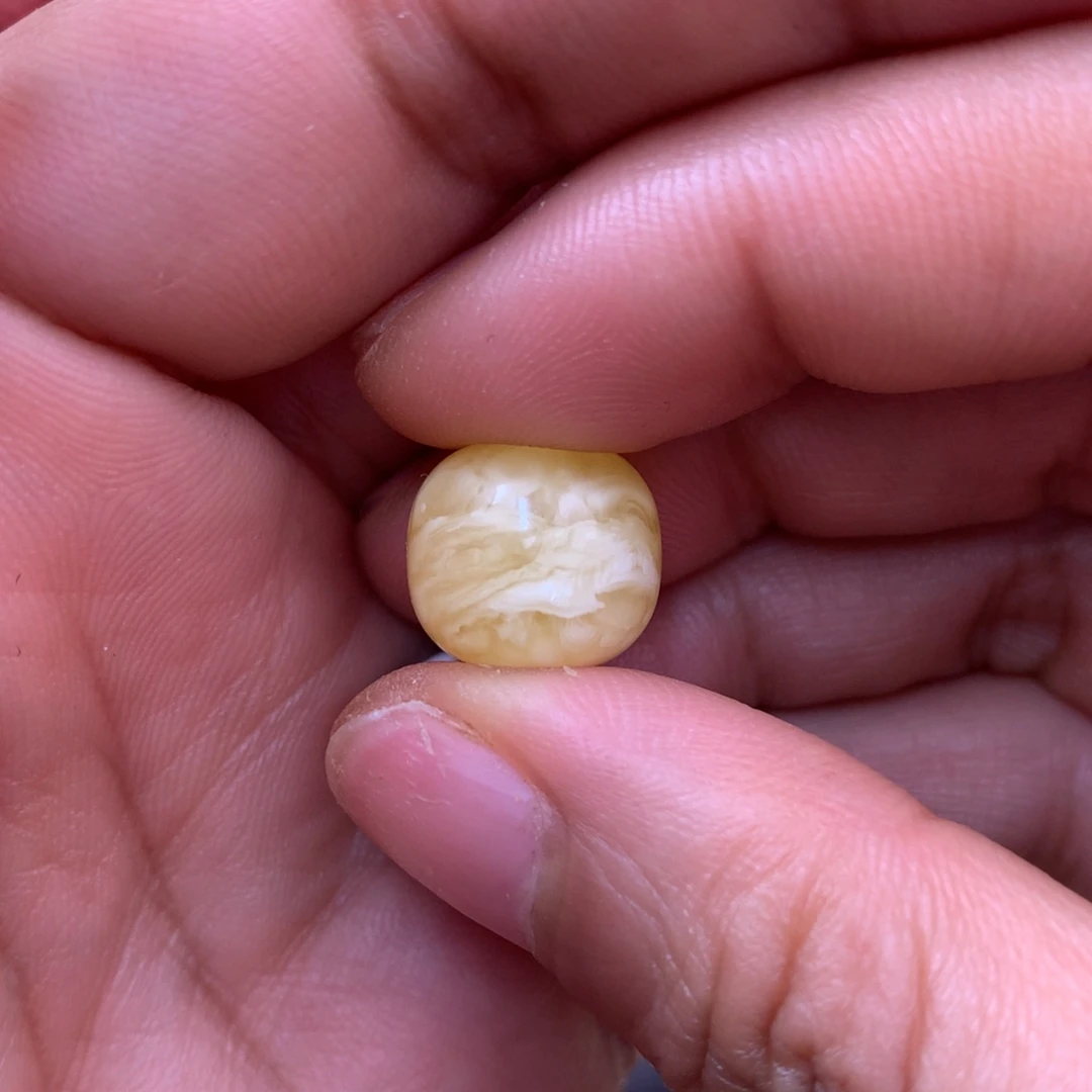 琥珀未镶嵌裸石蜜蜡