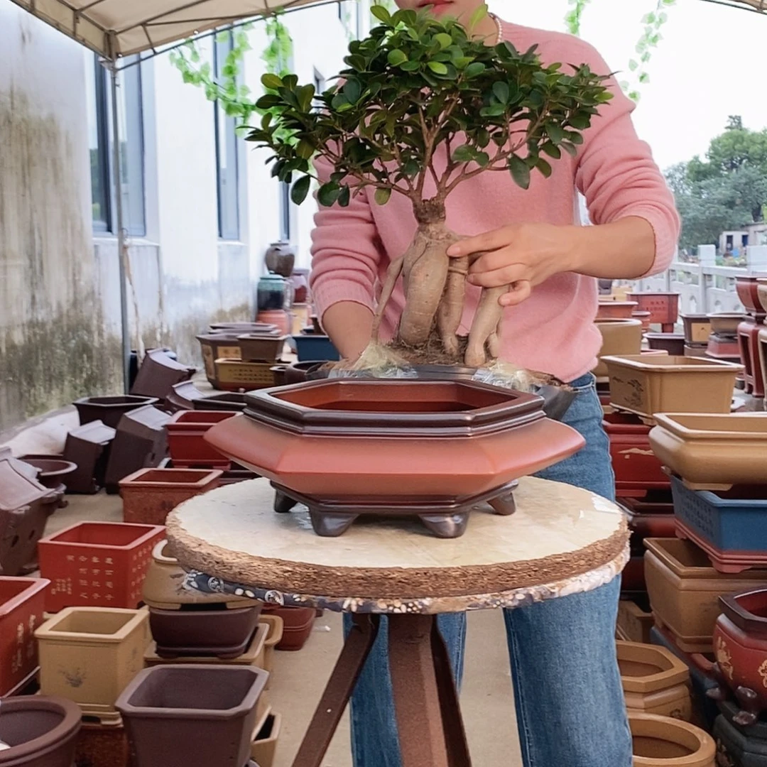 花盆紫砂紫砂花盆